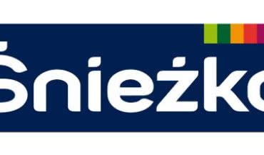 Raport Śnieżki za 2015 rok